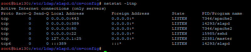 _images/53-ldap-netstat.png